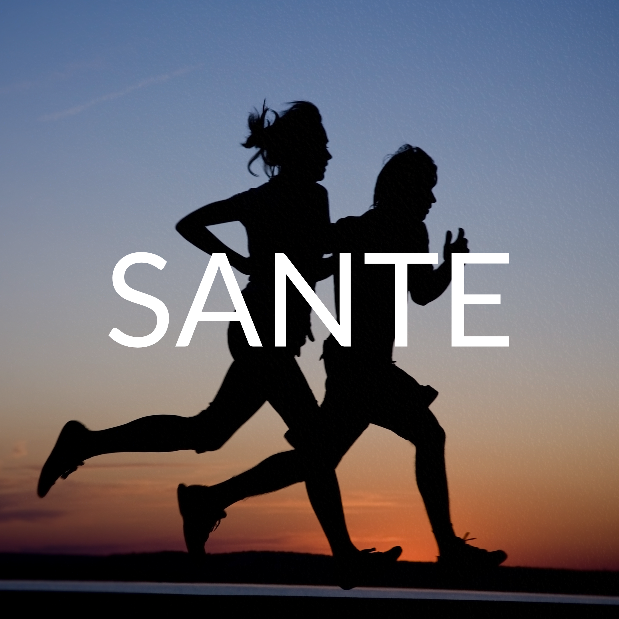 Santé - Sagliga dayir