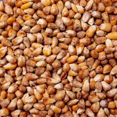 Maïs Grillés (Misir kavurgasi) 500gr