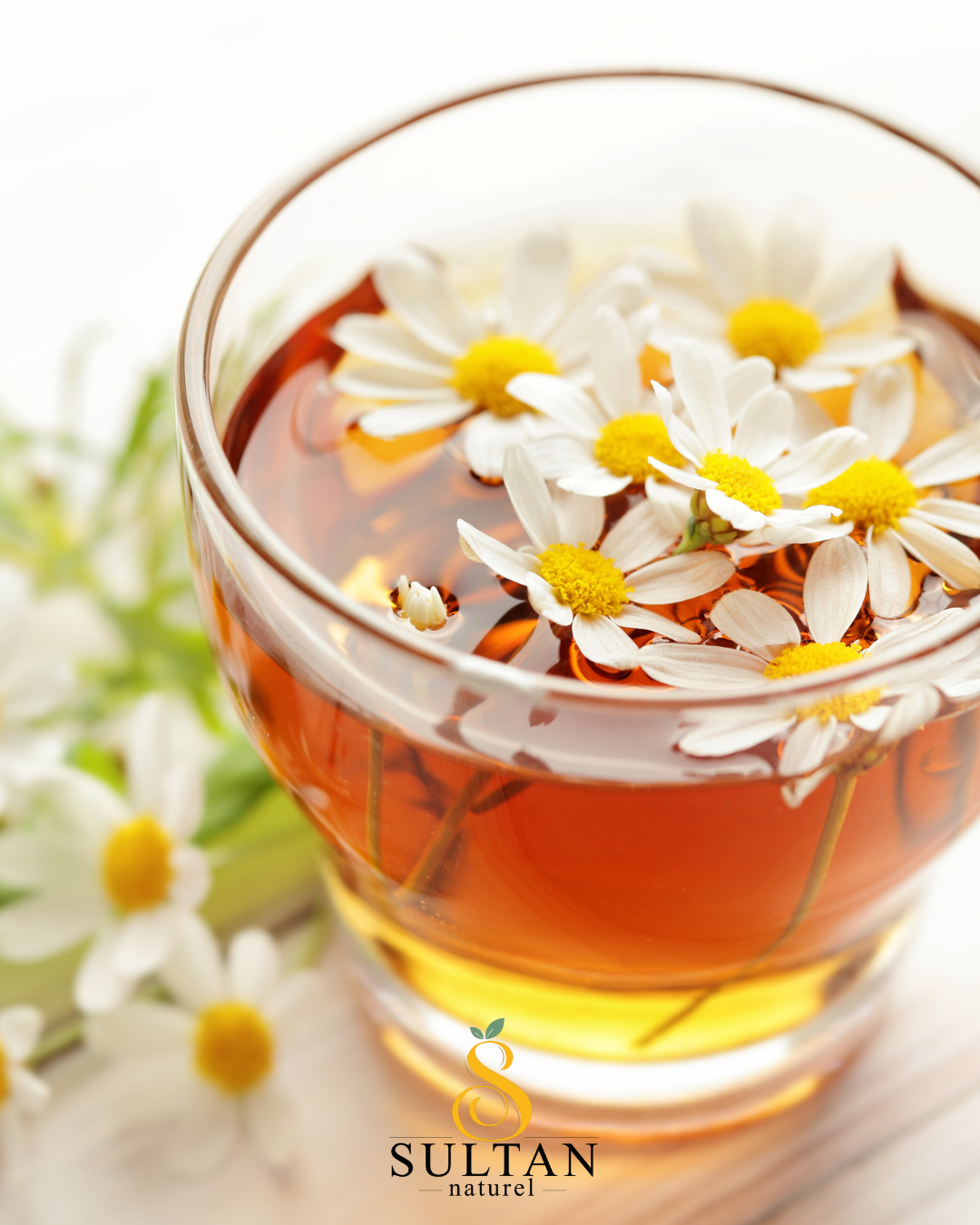 Infusions de camomille - Papatya çayi