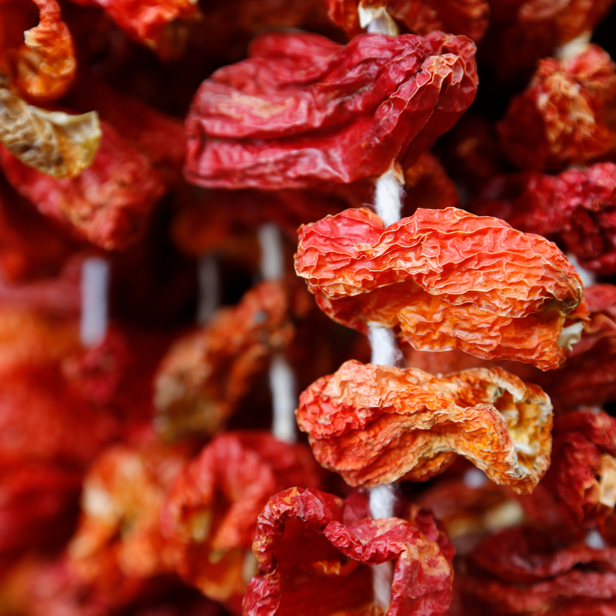 Piment fort pour farce (Antep Oguzeli dolmalik aci biber kurusu)