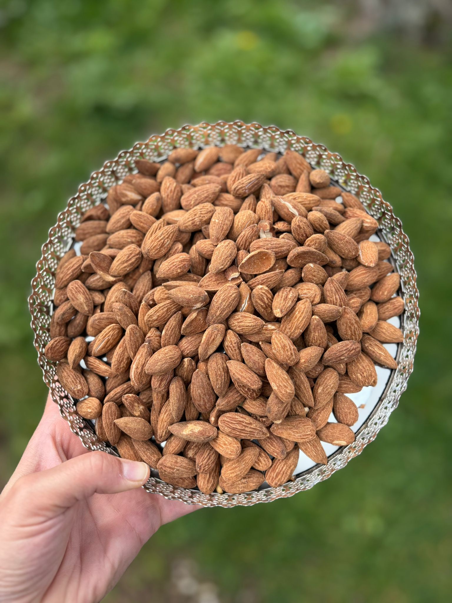 Amandes grillées et salées (Kavrulmus tuzlu badem)