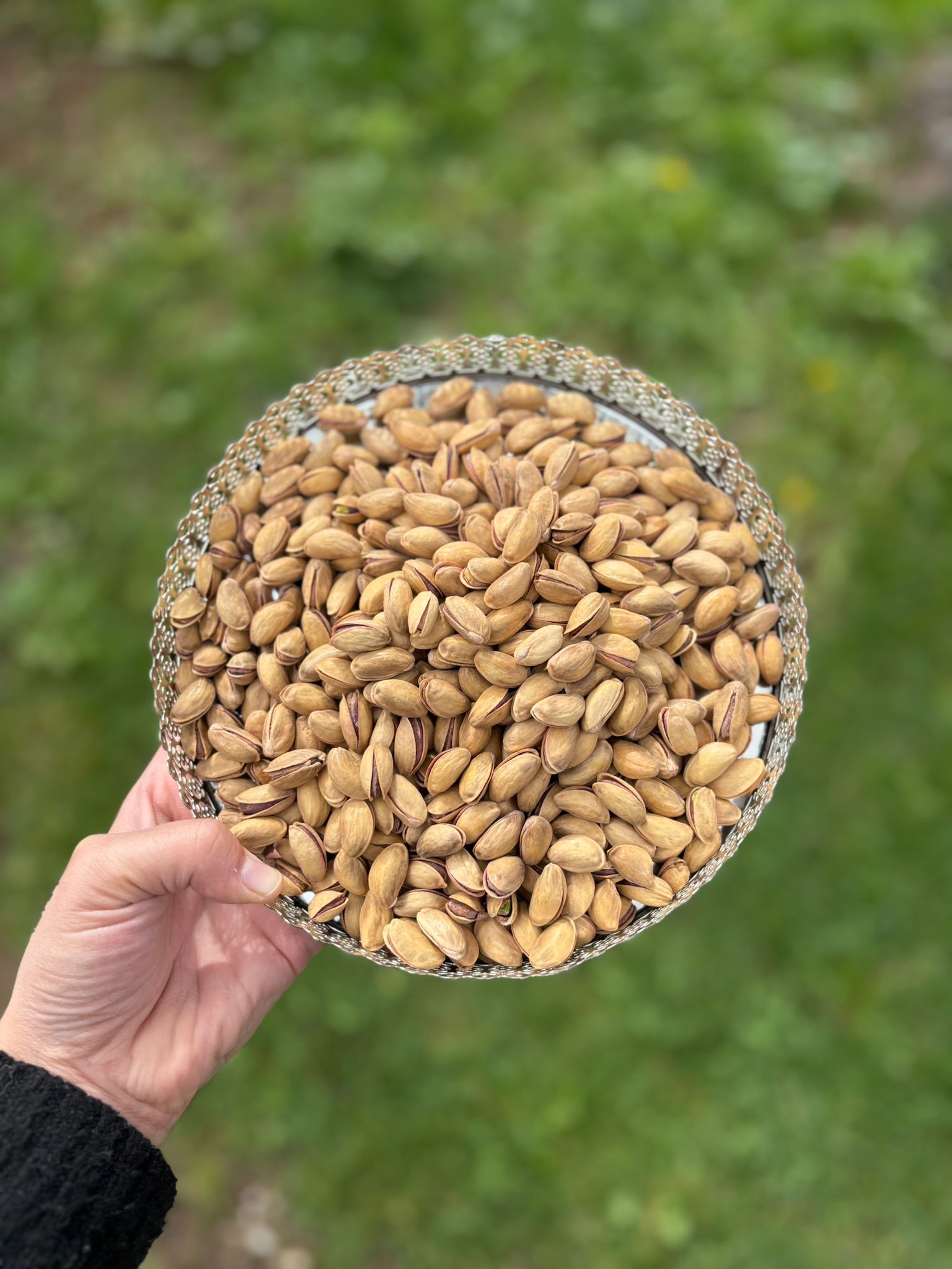 Pistache de Turquie (1. Sinif ana citlak antep fistigi)