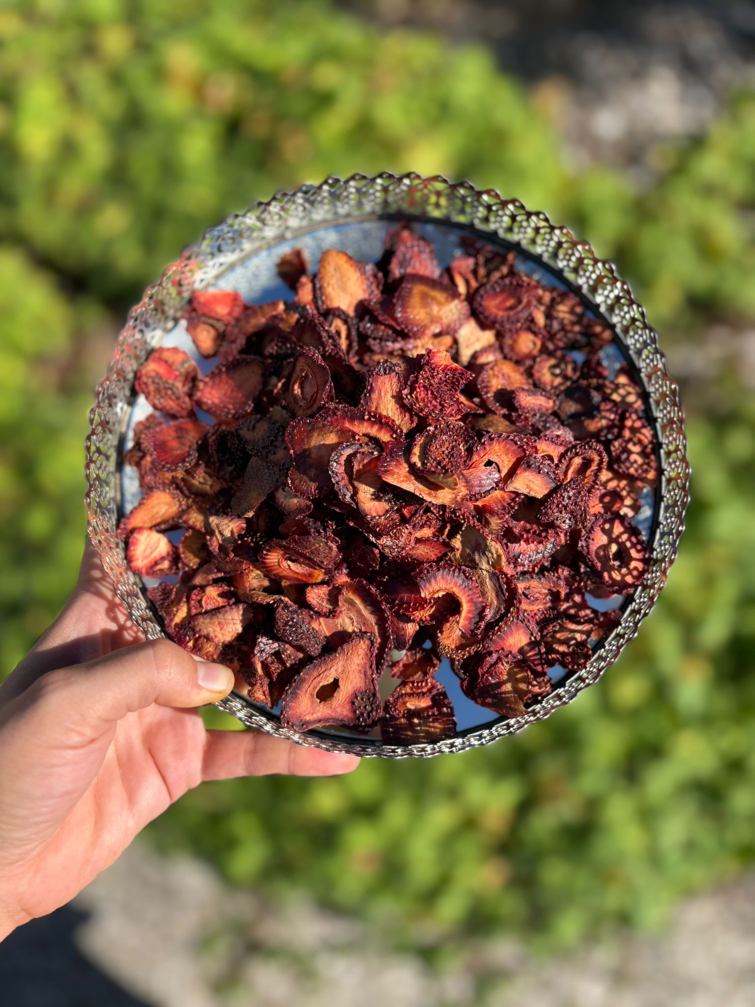 Fraise séchées (çilek kurusu) 100gr