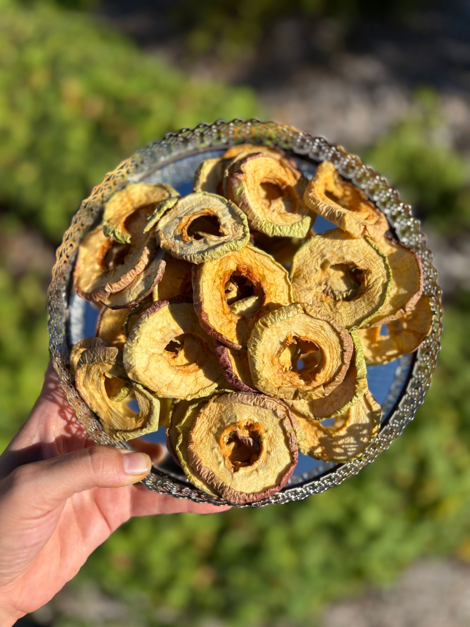 Pomme séché en tranche