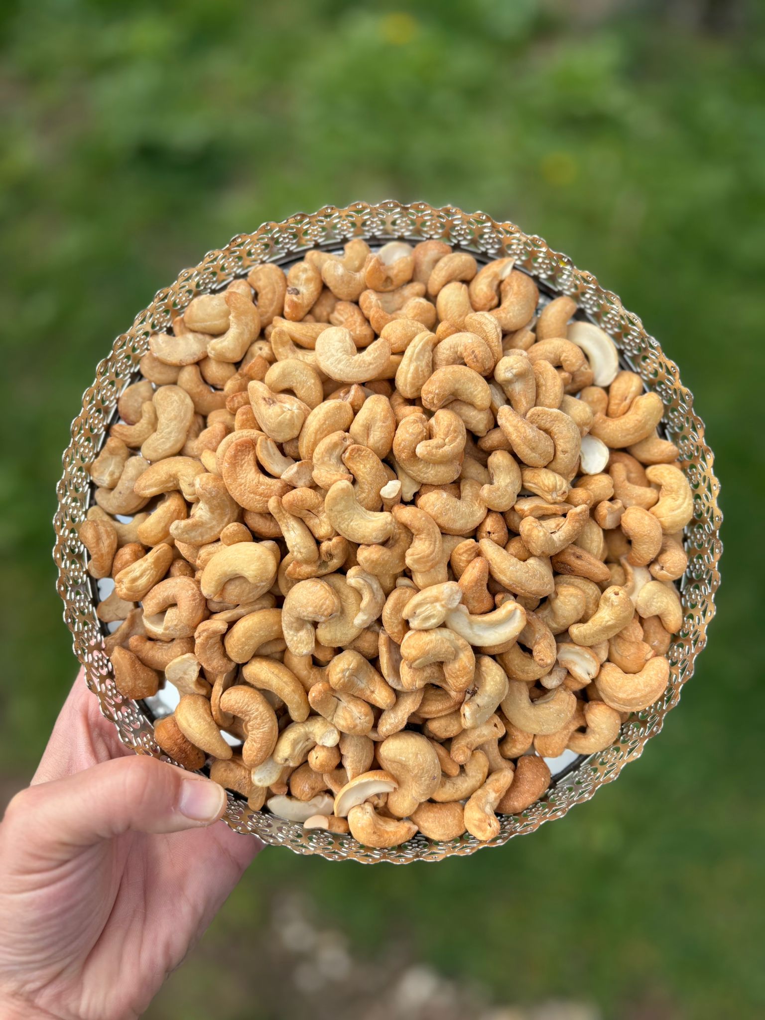 Cajou (Kaju)