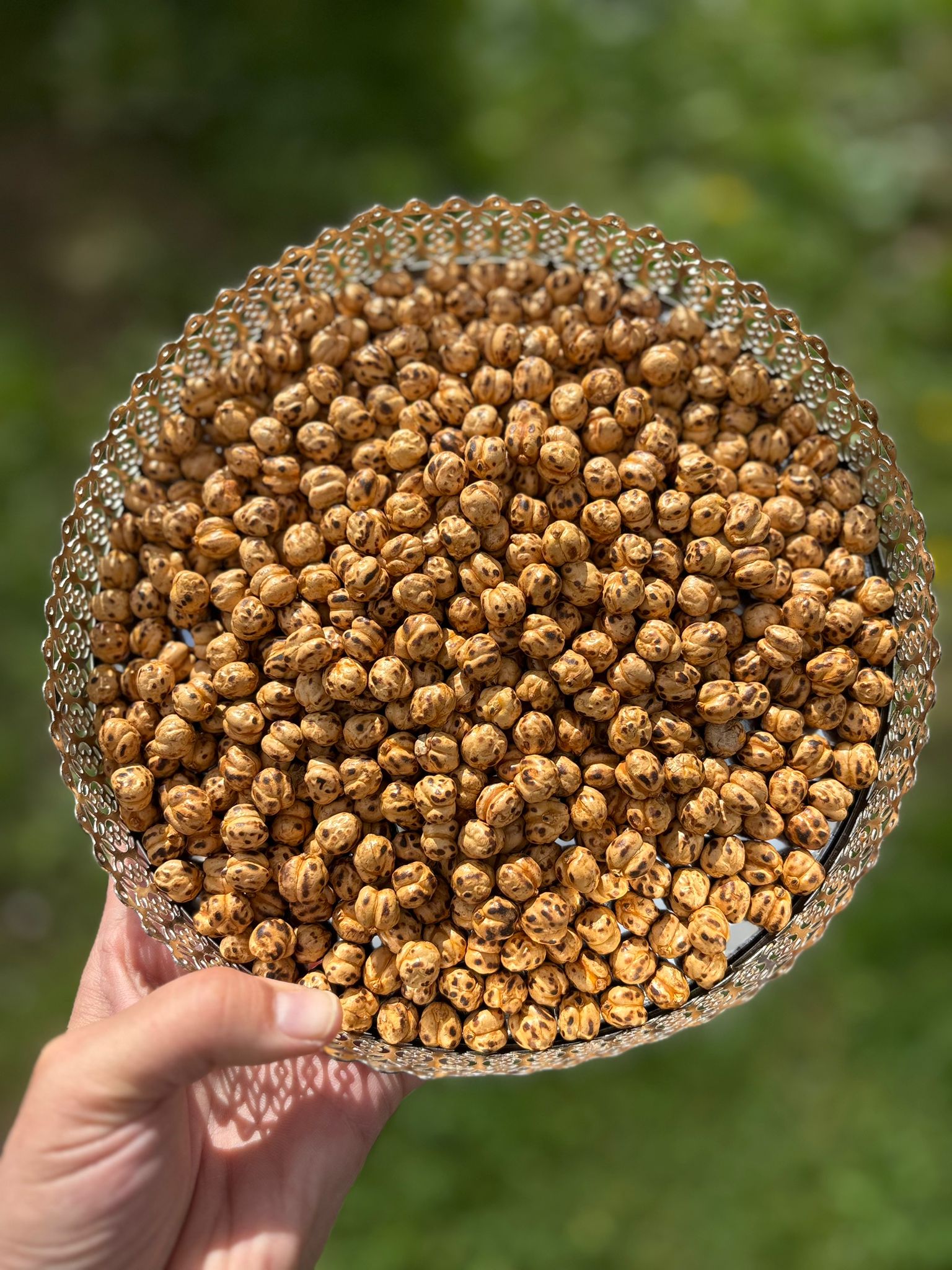Pois chiche grillés