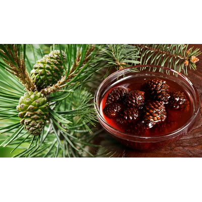 Sirop de pin - Kozalak surubu